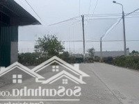 Khu Đấu Giá X6 Nguyên Khê- Mảnh Đất Vàng