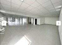 Buildingmặt Tiềnâu Cơ, Q. Tân Bình - Diện Tích: 11M X 26M - 239M - Hầm + 8 Tầng - Hđt 310 Triệu/Th - Giá Bán 78.5 Tỷ