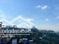 Lô Đất View Rừng Thôngdiện Tích300M2 Ngang 14,4M Cách Mặt Tiền 50M, Hồ Xuân Hương 1Km