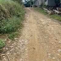 Bán đất tại Đường Quốc Lộ 20, Xã Phú Ngọc, Định Quán, Đồng Nai diện tích 6744m2 giá 6 Tỷ