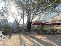 Ngõ 135 Đội Cấn, Cạnh Hồ Đầm Tròn - 65M X 5 Tầng - Dân Xây Chắc Chắn - Không Quy Hoạch - 14,3 Tỷ