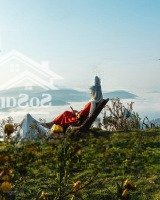 View Triệu Đô. Giá Chưa Đến Nửa Tỷ Đất Săn Mây Cầu Gỗ, Đà Lạt Giá Mềm, Vị Trí Đỉnh