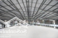 Cho Thuê Kho Xưởng 7700M2, Giá Tốt, Pccc Tự Động Tại Kcn Cần Đước, Long An