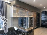 Biệt Thự Sang Trọng Kqh An Sơn, View Thông Đẹp, Đường Nhựa Ô Tô. Giá Bán 15.5 Tỷ