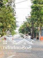 Siêu Vip, Siêu Hiếm Phạm Đình Hổ Ngang 7M Thông Biển