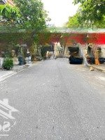 Siêu Vip, Siêu Hiếm Phạm Đình Hổ Ngang 7M Thông Biển