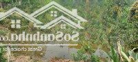 Bán Đất Kim Sơn, Đường 2 Ô Tô Tránh, Cáchcó Thương Lượng416 Chỉ 50M,Diện Tích1.148M2,Mặt Tiền21M,