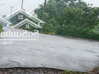Bán 1.6Ha Đất Lúa Đường Dương Công Chí Xã Xuân Thới Thượng Hocmon Giá Bán 28 Tỷ