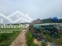Bán 1.6Ha Đất Lúa Đường Dương Công Chí Xã Xuân Thới Thượng Hocmon Giá Bán 28 Tỷ