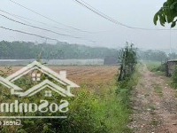 Bán 1.6Ha Đất Lúa Đường Dương Công Chí Xã Xuân Thới Thượng Hocmon Giá Bán 28 Tỷ
