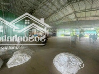 Tìm Chủ Cho Lô Đất 6.480 M2 Có 1800M2 Xưởng Còn Lại Đất Trống Tại Hắc Dịch