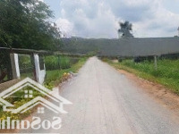 Đất Ngộp Giá Đầu Tư 10X23M Ngay Trung Tâm Củ Chimặt Tiềnđường Ô Tô Shr Gần Chợ Giá Chỉ 950 Triệuiệu