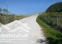 Bán Đất Biệt Thự Búng Gội, 1.9X Tỷ 450M2, Đường Trước Nhà 6M, Quy Hoạch Đất Ở