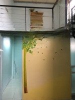 Cho Thuê Nhà Riêng 50M2 Tại Văn Trì Minh Khai, Bắc Từ Liêm. Giá 4,5 Triệu/Tháng