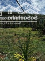Bán Mạnh Lô Đất K9, Ea Tu, Buôn Ma Thuột, Đắk Lắk, 1,5 Tỷ Mà Đang Sale Nên Còn 1Tỷ3