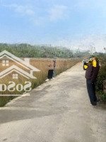 Em Gái Nhờ Bán Thổ Cư Hữu Bằng Ngọc Xá
Diện Tích 132M Mặt 4.5M Vị Trí Thuộc Hữu Bằng Ngọc Xá. Gia