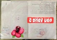 Bán Lô Đất Đường 7M5 Bàu Vàng 5