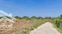 Chủ Ngộp Bán Rẻ Lô Đất 1,2 Hecta Có 300M2 Thổ Cư, 124M Mặt Tiền Hẽm Ô Tô Đường Tl765, Cẩm Mỹ, Đn