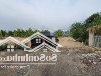 Gần 2 Hecta Mặt Tiền Đ. Trường Chinh Nối Cảng Phước An Và Cao Tốc Bến Lức Long Thành