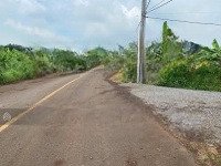 Chủ Kẹt Tiền Bán Gấp Mảnh Vườn Tại Thống Nhất - 1600M2 Giá Chỉ 890 Triệu/Sào. Ngân Hàng Có Hỗ Trợ