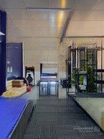 Siêu Hiếm, Mặt Tiền Kinh Doanh, P9 Tân Bình -Diện Tích54M2 - 2 Tầng - Giá Chỉ Hơn 8 Tỷ - Dòng Tiền 15 Triệu