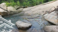 Chủ Nhượng Lại Vườn Cây Ăn Trái Long Khánh Giá Chỉ 890 Triệu - Ngân Hàng Hỗ Trợ Vay 50%