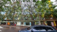 Bán Đất Quan Hoa - Cầu Giấy - Ngõ Thông - Đầu Tư Xây Ccmn Dòng Tiền - 140M2, Giá Bán 26.5 Tỷ
