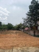 Chính Chủ Bán Lỗ Đất Đẹp Tại Thụy An, Ba Vì, Hà Nội 470M2 100% Đất Thổ Cư, 12M Mặt Tiền,