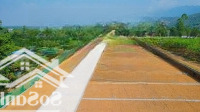Chhỉ 3Xxtr Có Ngay Lô Góc 118M2 Full Thổ Cư Tại Tu Vũ,Thanh Thuỷ,Phú Thọ,Cách Cầu Đồng Quang 11Km