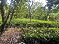 Bán Đất Ở Xã Vân Hòa Ba Vì Hà Nội . Diện Tích: 3280M2 400Tc Lô Góc Nhìn Thẳng Núi Ba Vì