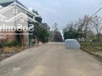 Cắt Lỗ 300 Triệu Bán Gấp Mảnh Đất Ở Tđc Vai Réo Rẻ Nhất Thị Trường Tại Xã Phú Cát, Huyện Quốc Oai