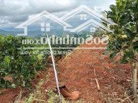 Bán Đất Tại Nam Hà, Sẵn Vườn Trái Cây Giá Bán 5,28 Tỷ, 3200 M2 Sổ Hồng Riêng, Sẵn Thổ Cư, View Cực Đẹp