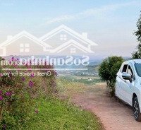 Bán Đất Tại Nam Hà, Sẵn Vườn Trái Cây Giá Bán 5,28 Tỷ, 3200 M2 Sổ Hồng Riêng, Sẵn Thổ Cư, View Cực Đẹp