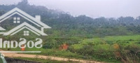 Bán Lô Đất 7Ha View Hồ Tại Lương Sơn Hòa Bình Giá 250K/M