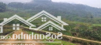 Bán Lô Đất 7Ha View Hồ Tại Lương Sơn Hòa Bình Giá 250K/M