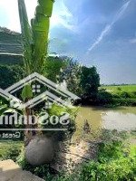 Bán Gấp Nhà Riêng 46M2 Tại Lâm Văn Bền, Quận 7,Ngang 4,2X12M, Giá Nhỉnh 4 Tỷ