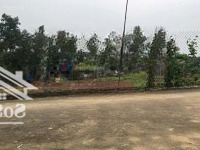 Nhỉnh 2 Tỷ Sở Hữu 76,9M2 Quán Trạch, Liên Nghĩa, Đường 4M Oto 7 Chỗ Đỗ Cửa,Tiếp Giáp Vành Đai