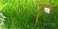 Bán Lô Đất Ở Thôn Thạch Nham Tây, Xã Hoà Sơn