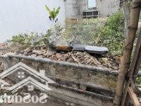 Đất Bán Tại Xã Cổ Loa, Đông Anh, Hà Nội, Giá Siêu Hời Chỉ Với 75 Triệu/M2, 55M2