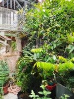 Bán Nhà Phố Tây Hẻm Oto Cách Biển 200M 13 Tỷ 500 Triệuiệu, Giá Bán Chỉ 13 Tỷ 500 Triệu ( Giá Cũ)