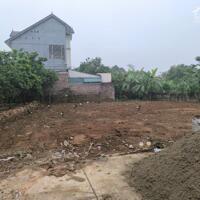 Bán đất 450m2 Tân Châu - Đông Ninh - Khoái Châu gần di sản - Trump