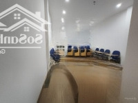 Cho Thuê Nhà 2.5 Tầng Diện Tích Tổng Là 250M2 Mặt Phố Lạc Long Quân, Tây Hồ, Hà Nội: 0981222026
