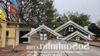 Bán Đất Nam Hồng, Đông Anh 56M Chỉ 3 Tỷ