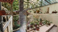 Biệt Thự 3 Mặt Thoáng Văn Quán Vị Trí Vàng Pháp Lý Chuẩn Giữ Tài Sản Cực Tốt