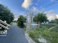 Mặt Tiền Đường Thanh Niên Đi Thẳng Ra Biển