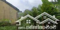 Bán Nhanh Các Lô Đất Thôn Thanh Nhì, Cẩm Thanh Gần Cầu Mới Cẩm Nam, View Sông, View Dừa