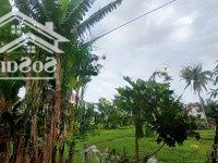 Bán Lô Đất An Mỹ Bê Tông Ô Tô Tránh Nhau, View Lúa Cạnh Nhà.