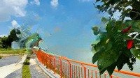 Bán Đất Dự Án Đông Tăng Long Hạ Tầng Đẹp Shrdiện Tích100M Giá Bán 6,9 Tỷ Chốt Nhanh 0906860029