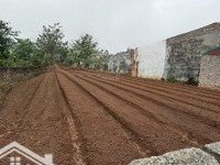 Đa Hoà - Bình Minh - Khoái Châu Ra Lô Hoa Hậu 425M Chính Chủ Nhà Em .Phân Lô Thoải Mái 0707622888