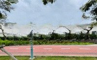Chính Chủ! Bán Dinh Thự Tầm Nhìn Trực Diện Sông Và Công Viên Cực Đẹp. Giá Tốt Cho Khách Thiện Chí.